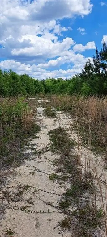 Picture 8