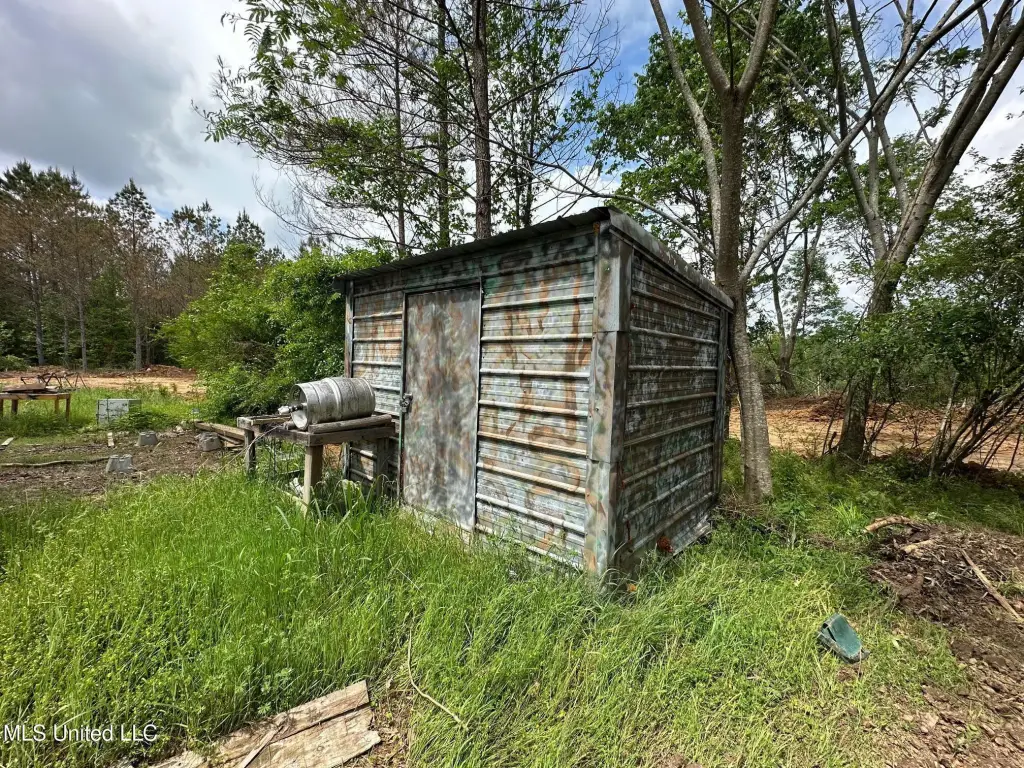 Picture 21