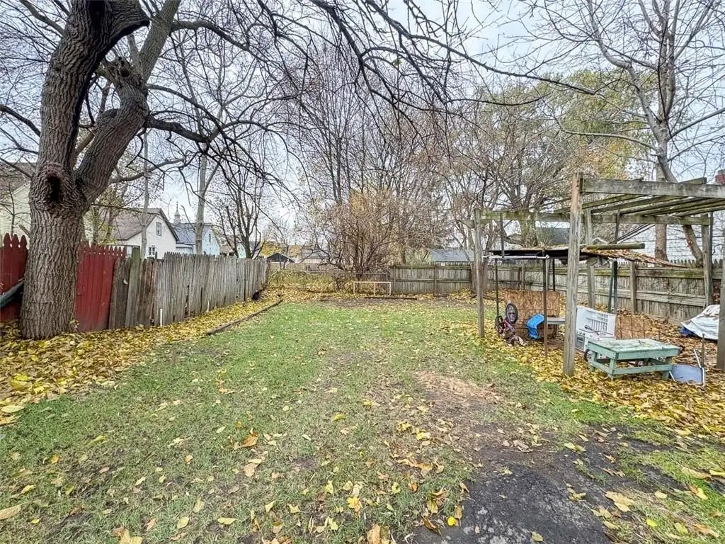 Picture 19