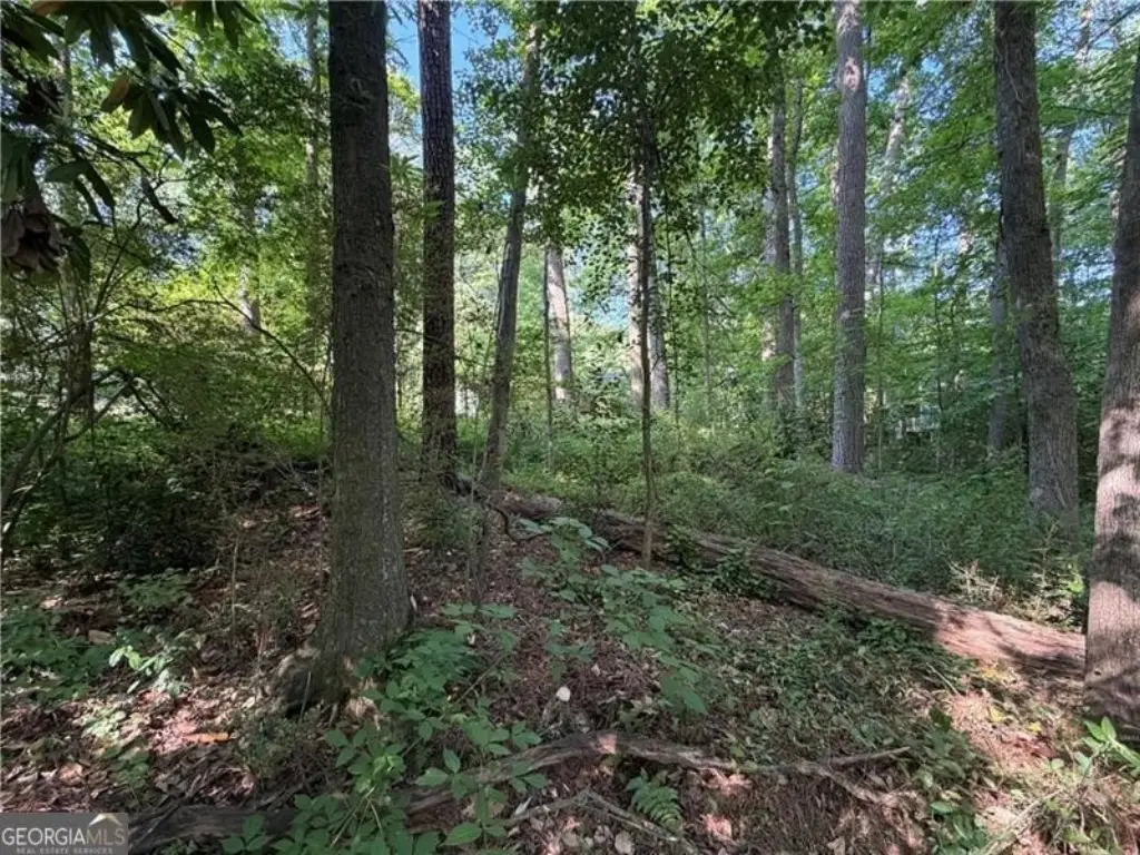 Picture 4