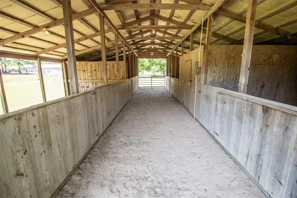 Picture 38