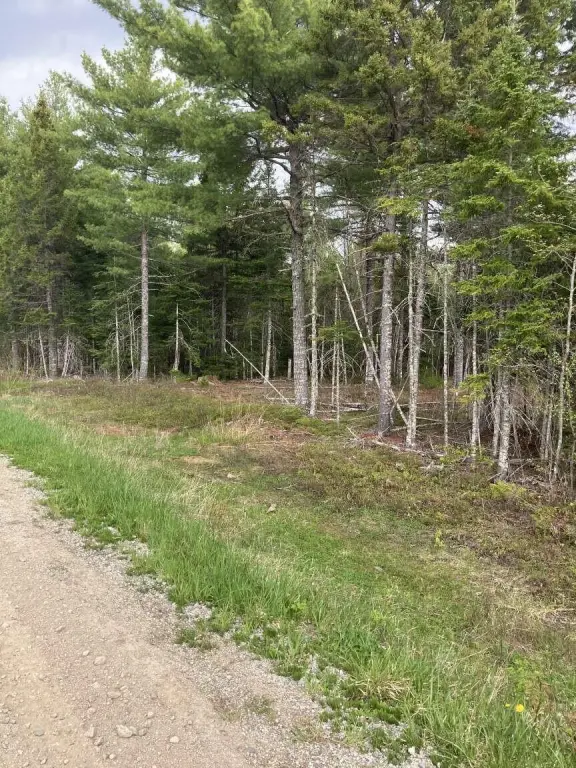 Picture 7