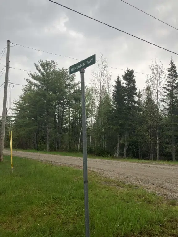 Picture 17