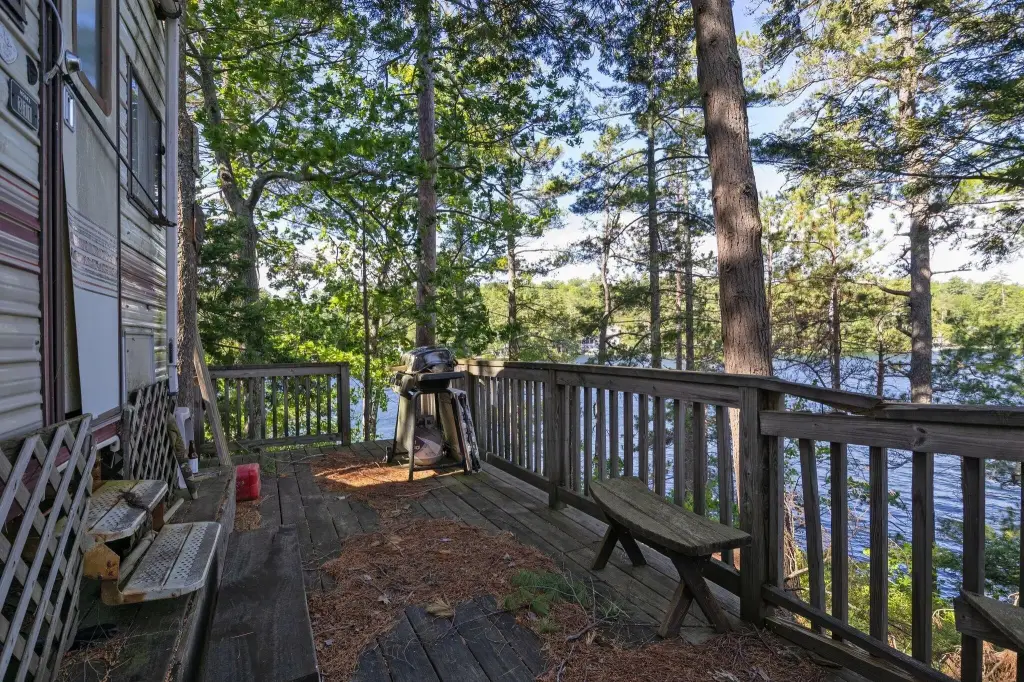 Picture 8
