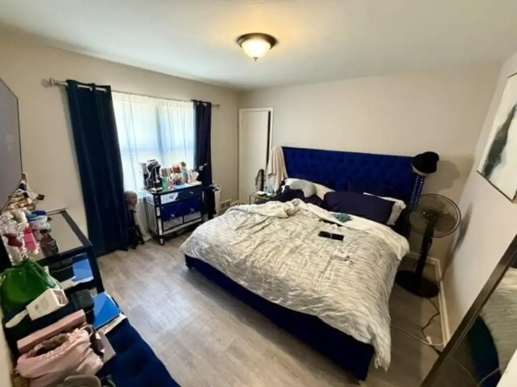 Picture 5