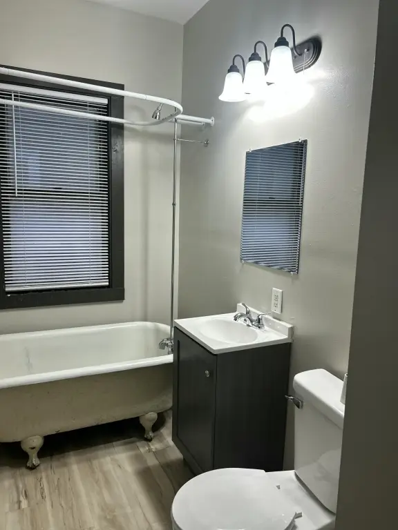 Picture 3