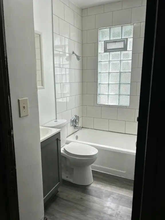 Picture 5