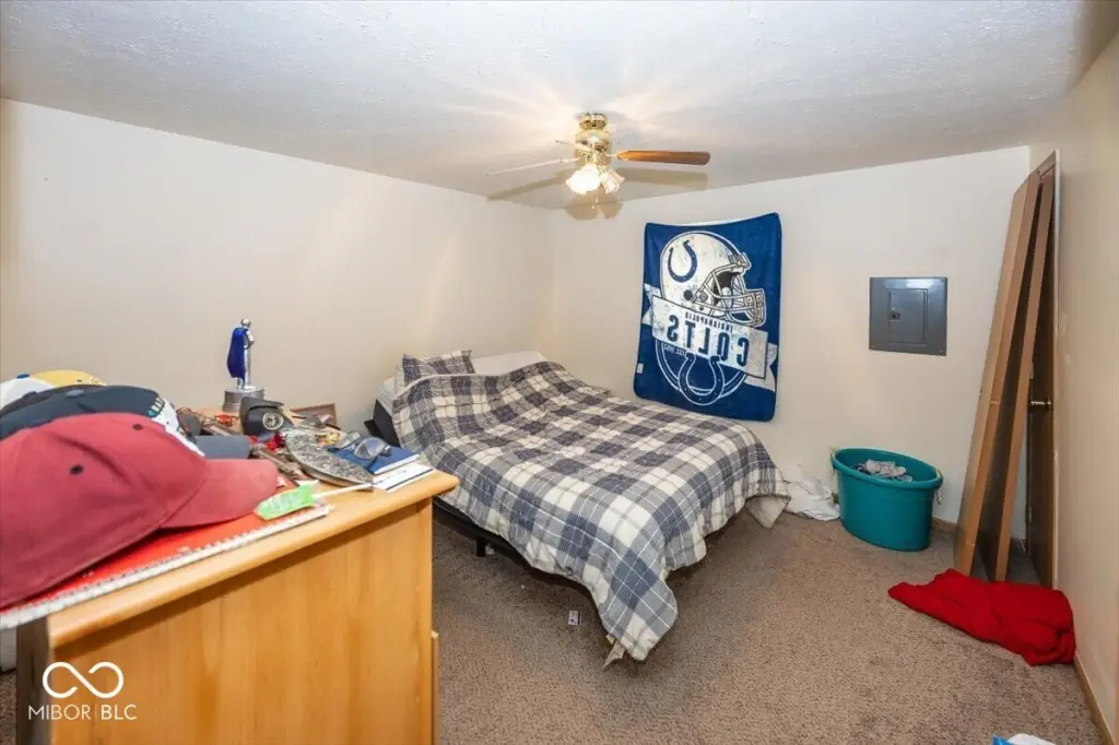 Picture 6