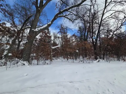 Wooded Lot Near Recreation