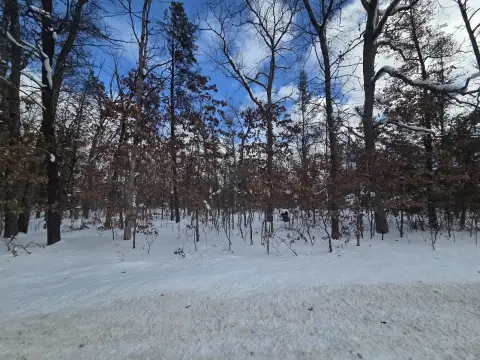 Wooded Lot Near State Land