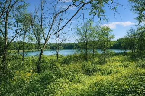 98.76 Acres Recreational Land