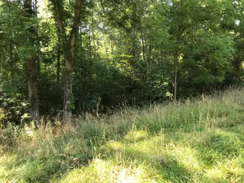 Paw Paw Commercial Land Opportunity