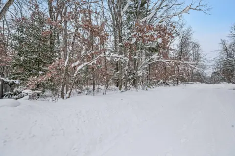 Land For Sale, Baldwin, MI