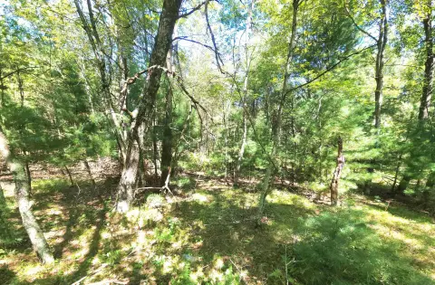 39 Acres Wooded Hunting Land