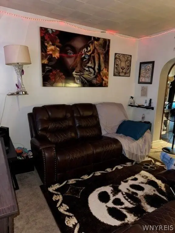 Picture 8