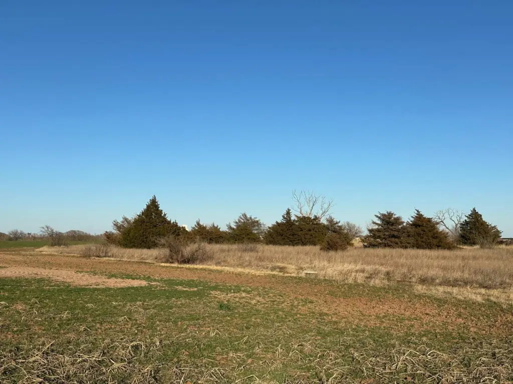 Picture 3