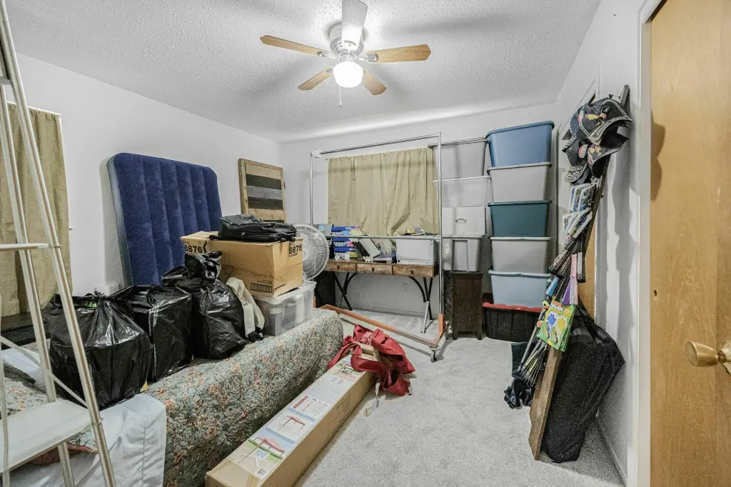 Picture 16