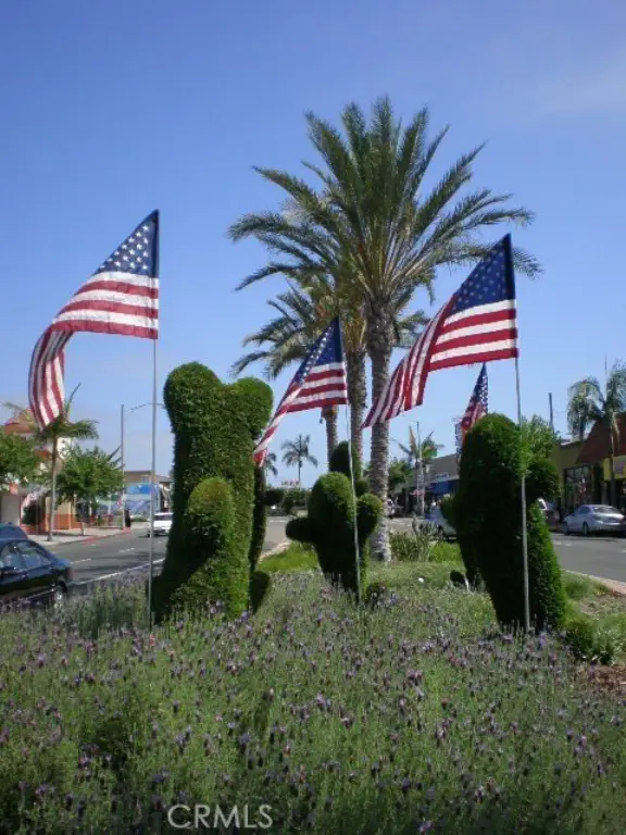Picture 29