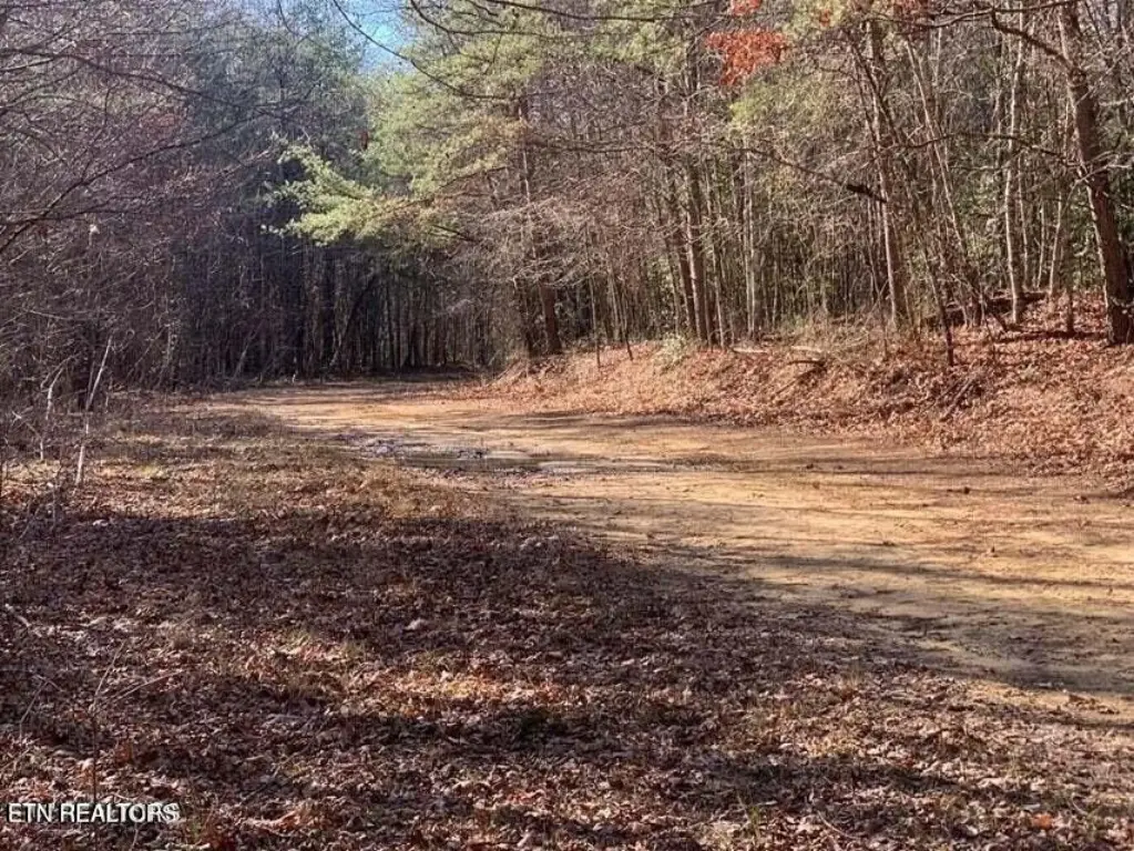 Picture 8