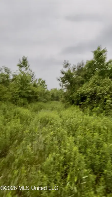 Picture 44