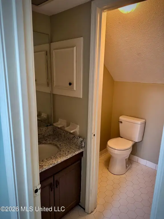 Picture 19