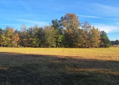 Land For Sale, Eutawville