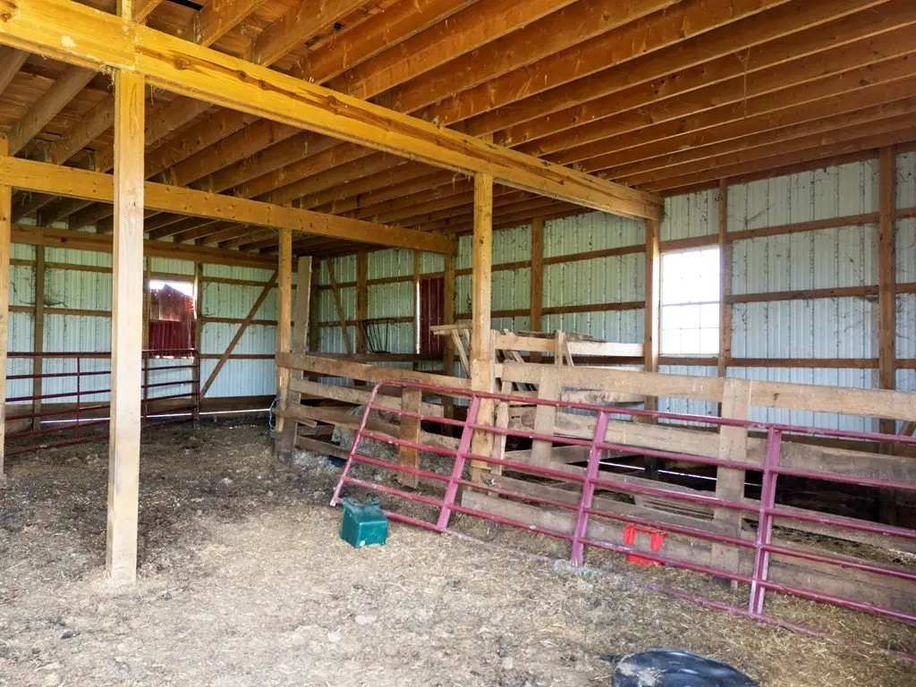 Picture 11