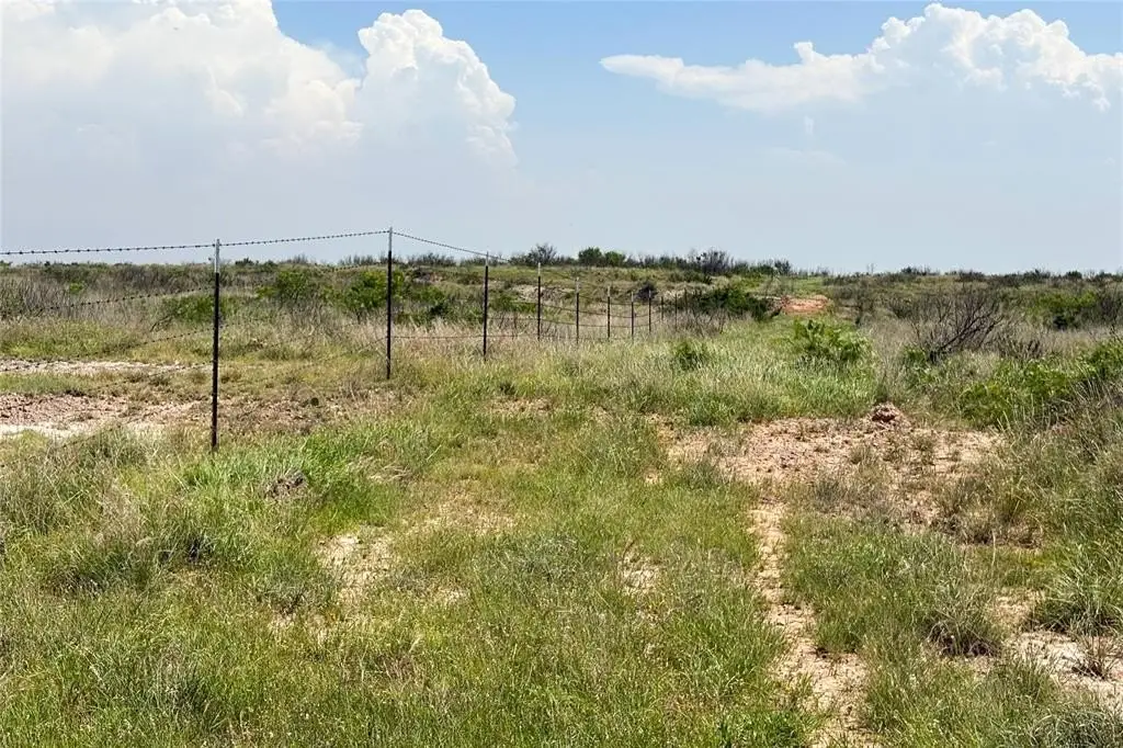 Picture 20