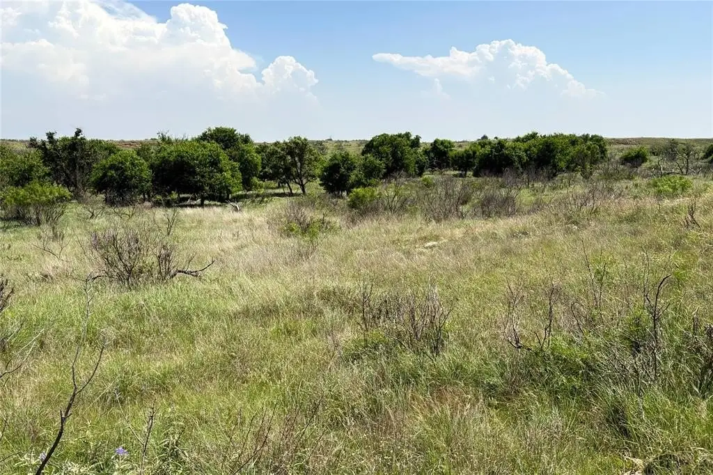 Picture 30