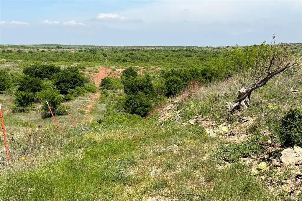 Picture 21