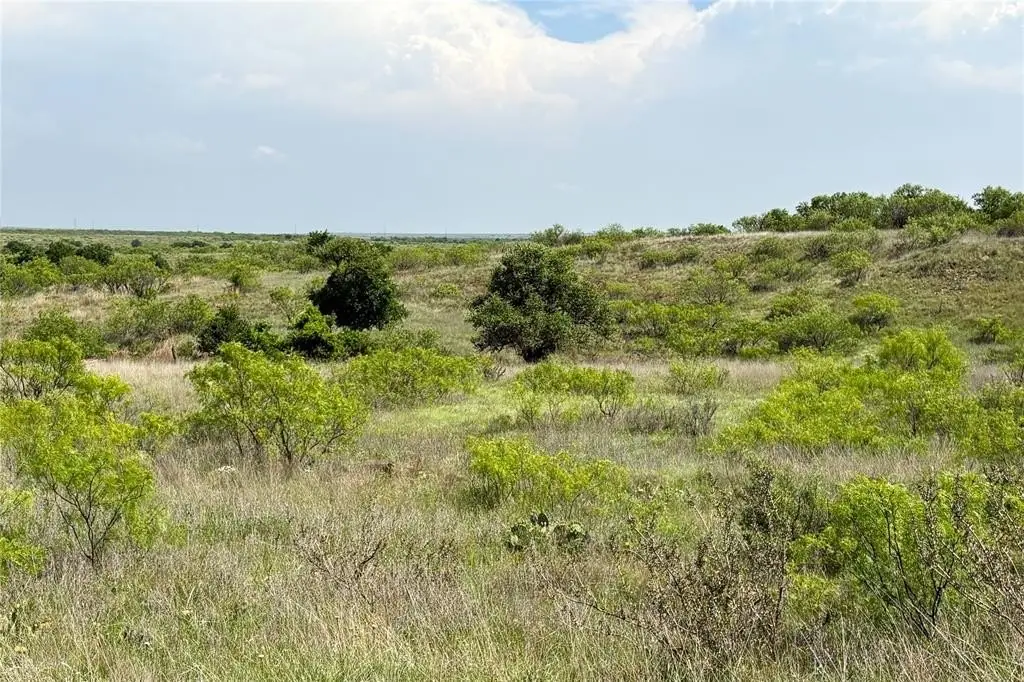 Picture 22