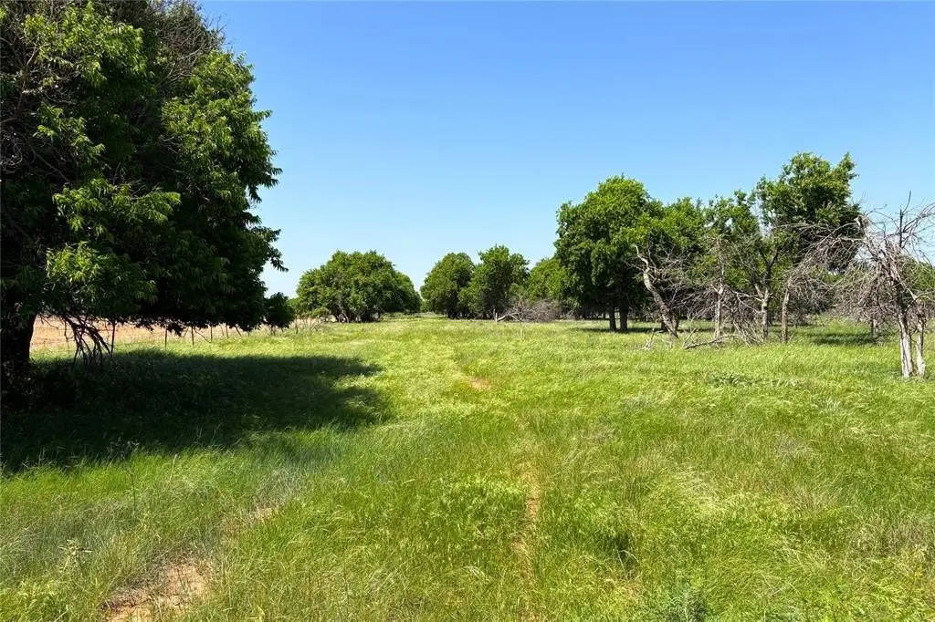 Picture 14