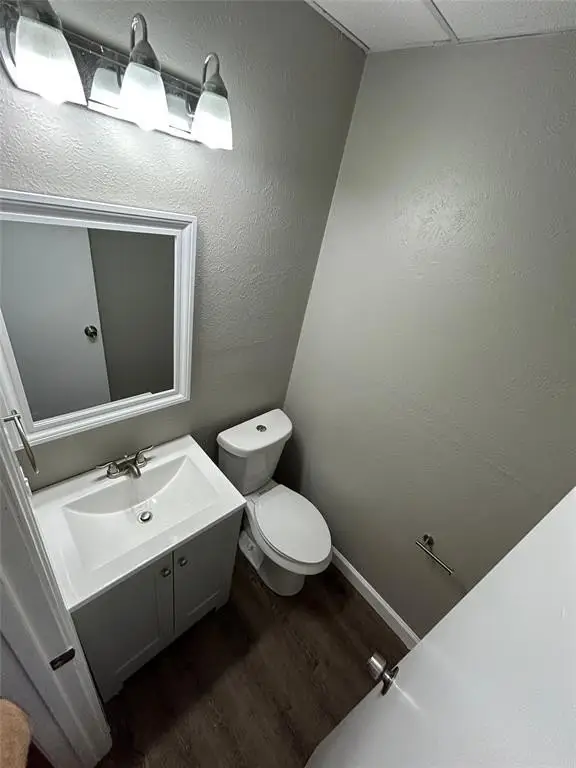 Picture 21