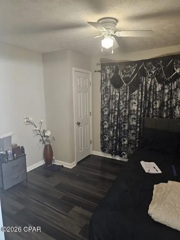 Picture 37