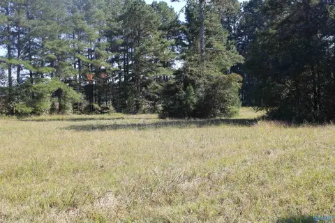 Unrestricted Land near Ardmore