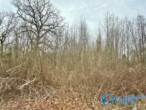 Residential Lot in Toney, AL