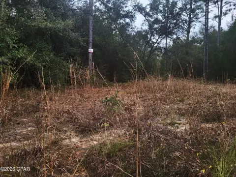 Marianna, FL Land Available