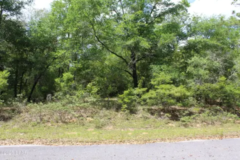 Wooded Homesite in Chipley, Florida