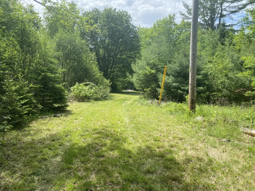 Picture 8