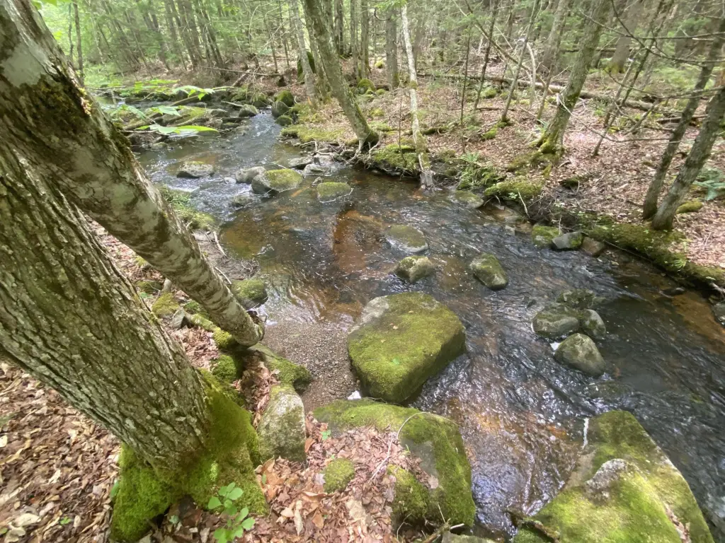Picture 22