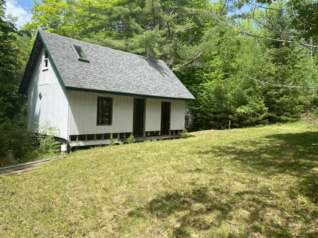Picture 11