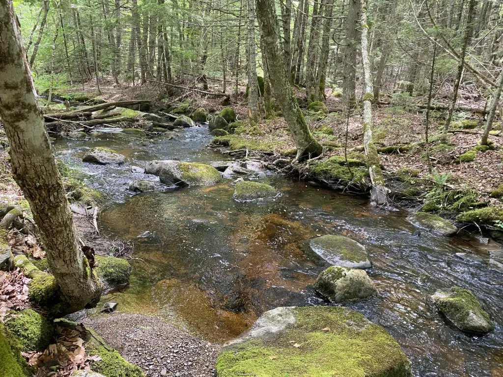 Picture 24