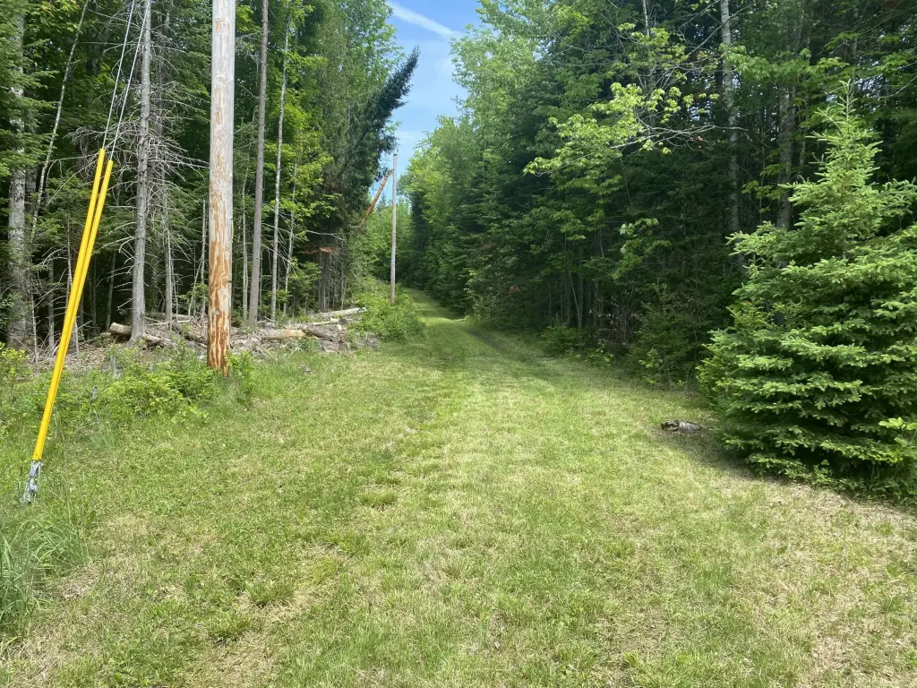 Picture 5
