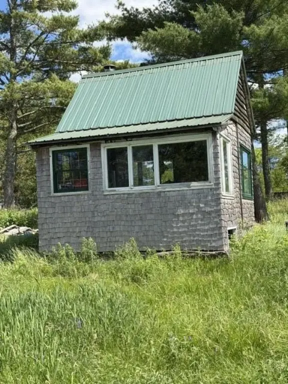 Picture 15