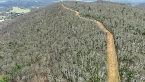 Vast Land with Income Potential