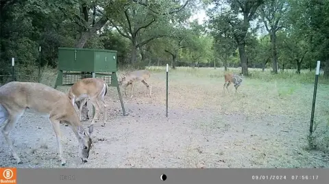 49+ Acre Wooded Land Parcel