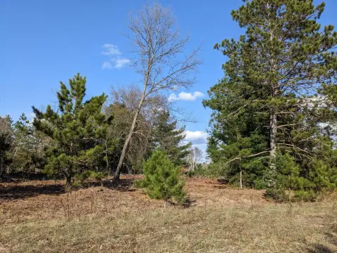 Land in Kaleva, Michigan