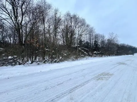 Wooded Lot in Niles Township