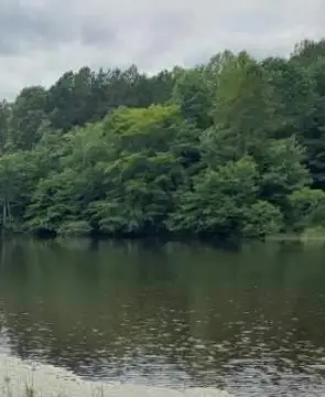 Recreational Wooded Acreage with Pond