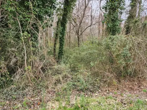 Residential Land Near Amenities